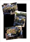 Blumencorso Bad Ems (Dld) 2013
